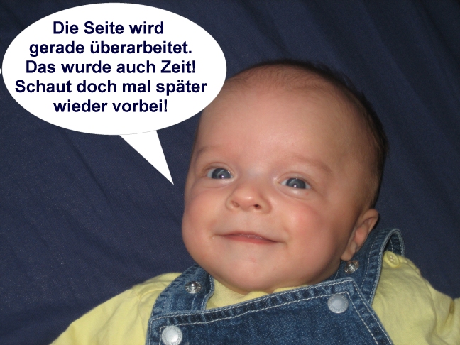 Die Seite wird gerade berarbeitet.